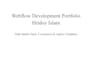 do professional webflow website development